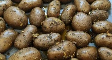 картопля картопля